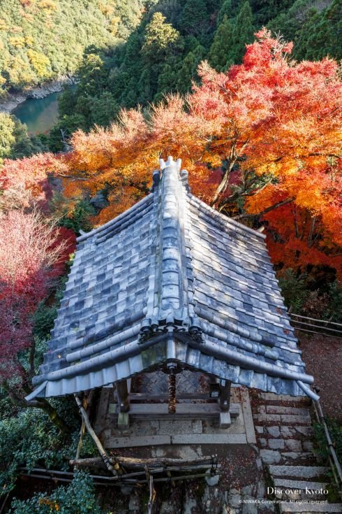 🏯 대비각 천광사(다이히카쿠 센코지) 이미지 1